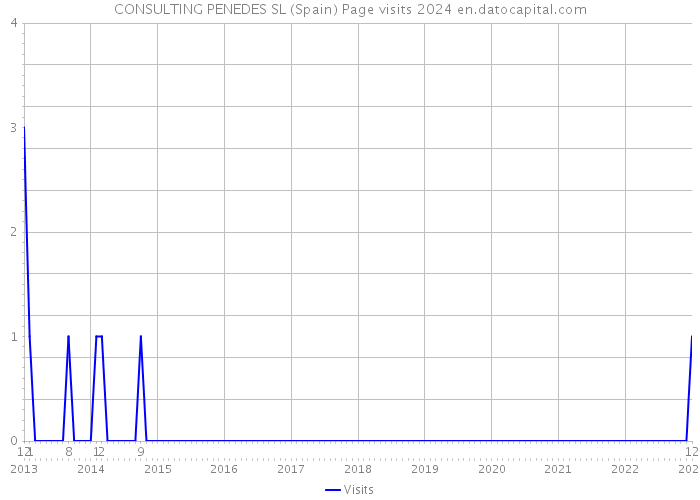 CONSULTING PENEDES SL (Spain) Page visits 2024 