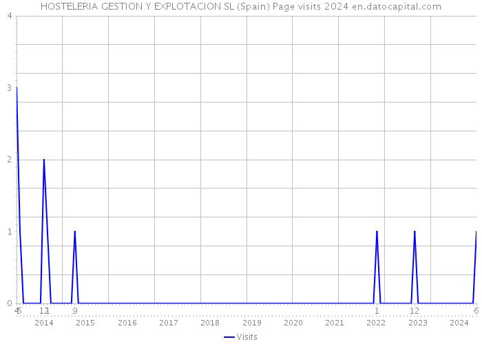 HOSTELERIA GESTION Y EXPLOTACION SL (Spain) Page visits 2024 