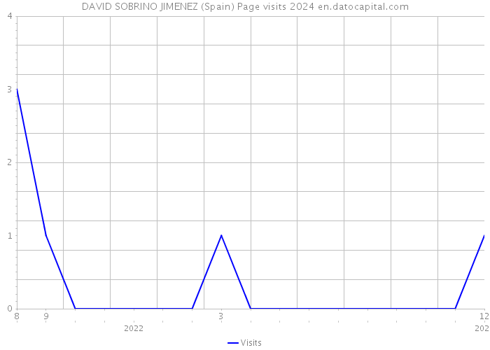 DAVID SOBRINO JIMENEZ (Spain) Page visits 2024 