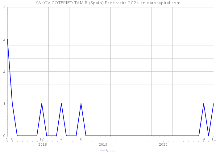 YAKOV GOTFRIED TAMIR (Spain) Page visits 2024 