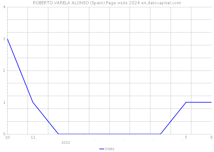 ROBERTO VARELA ALONSO (Spain) Page visits 2024 