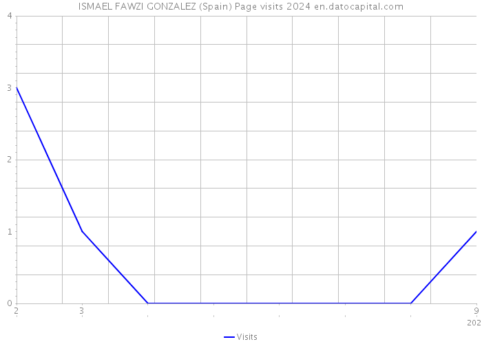 ISMAEL FAWZI GONZALEZ (Spain) Page visits 2024 