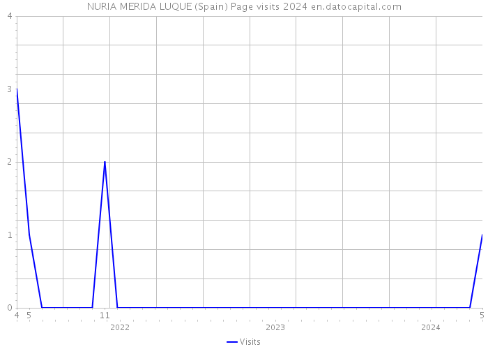 NURIA MERIDA LUQUE (Spain) Page visits 2024 