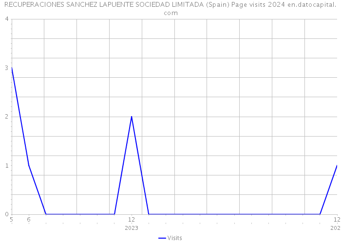 RECUPERACIONES SANCHEZ LAPUENTE SOCIEDAD LIMITADA (Spain) Page visits 2024 