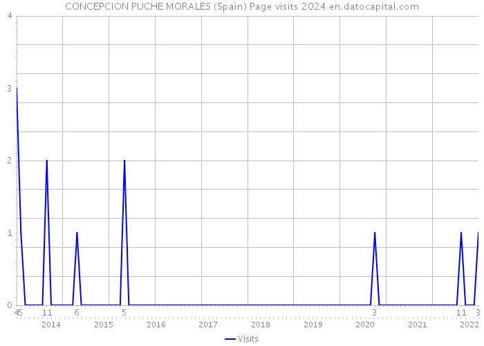 CONCEPCION PUCHE MORALES (Spain) Page visits 2024 
