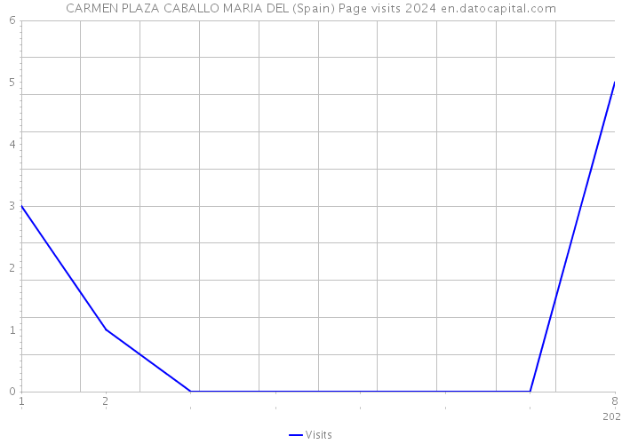 CARMEN PLAZA CABALLO MARIA DEL (Spain) Page visits 2024 