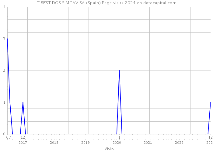 TIBEST DOS SIMCAV SA (Spain) Page visits 2024 