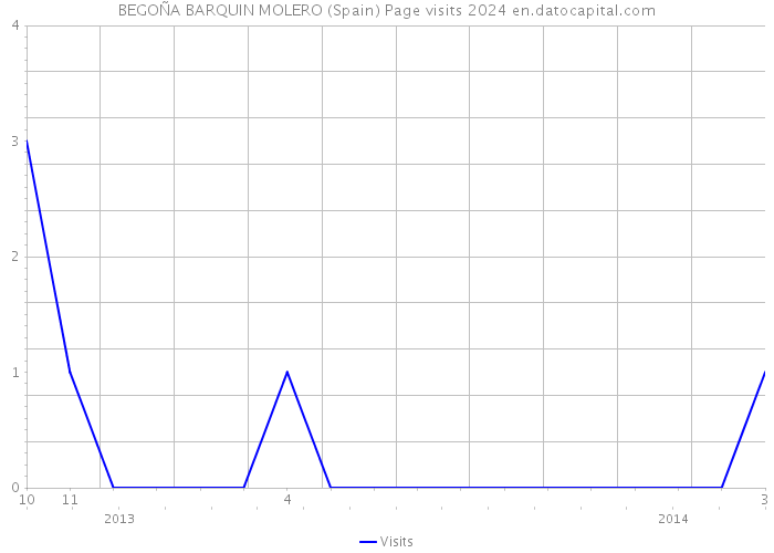 BEGOÑA BARQUIN MOLERO (Spain) Page visits 2024 