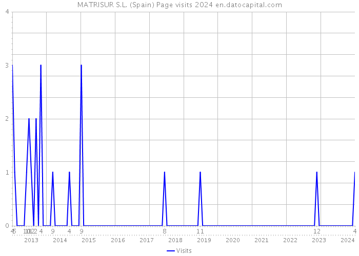 MATRISUR S.L. (Spain) Page visits 2024 