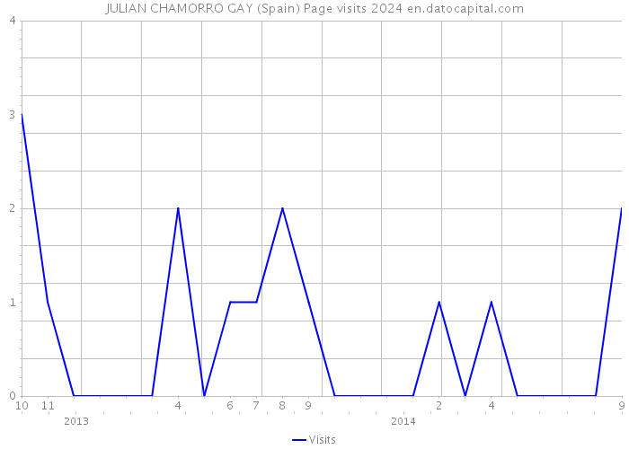 JULIAN CHAMORRO GAY (Spain) Page visits 2024 