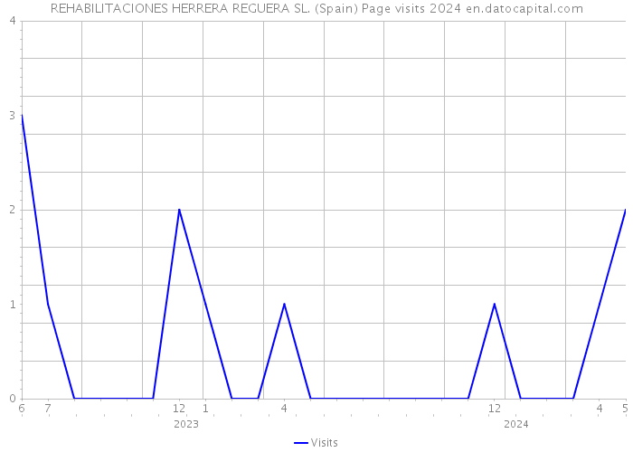 REHABILITACIONES HERRERA REGUERA SL. (Spain) Page visits 2024 
