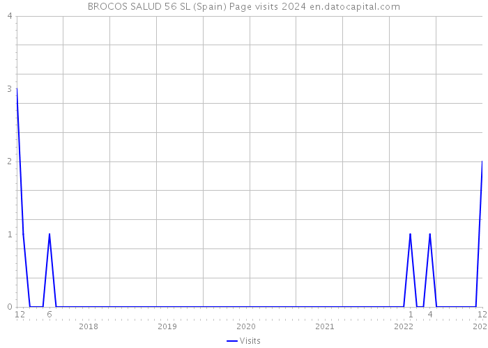 BROCOS SALUD 56 SL (Spain) Page visits 2024 