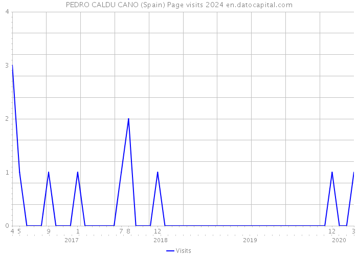 PEDRO CALDU CANO (Spain) Page visits 2024 