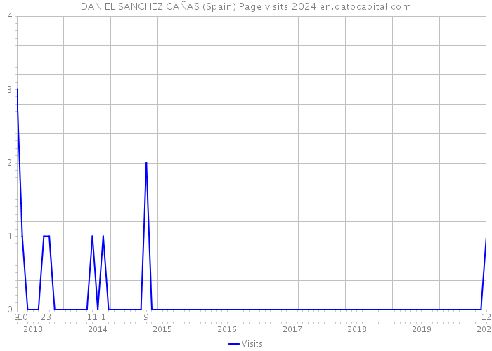 DANIEL SANCHEZ CAÑAS (Spain) Page visits 2024 