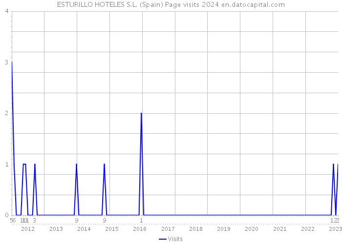 ESTURILLO HOTELES S.L. (Spain) Page visits 2024 