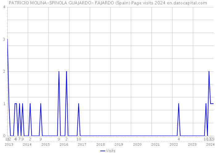 PATRICIO MOLINA-SPINOLA GUAJARDO- FAJARDO (Spain) Page visits 2024 