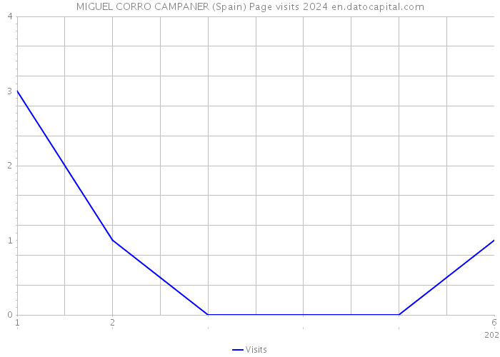 MIGUEL CORRO CAMPANER (Spain) Page visits 2024 