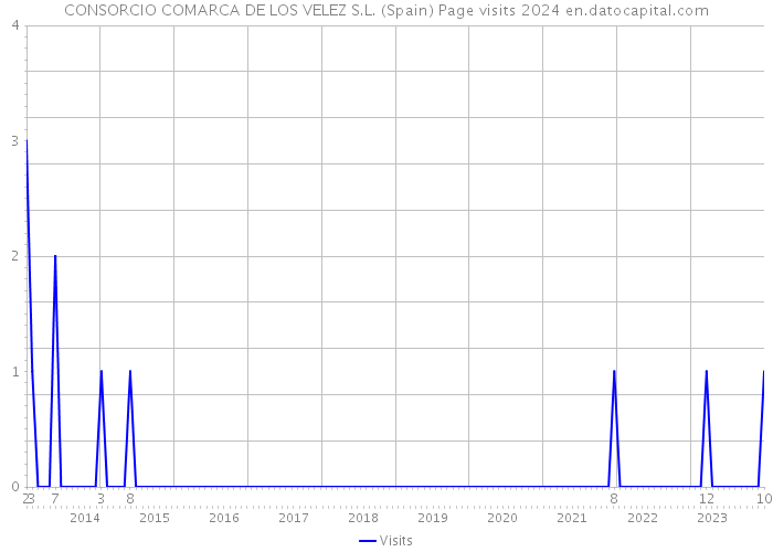 CONSORCIO COMARCA DE LOS VELEZ S.L. (Spain) Page visits 2024 