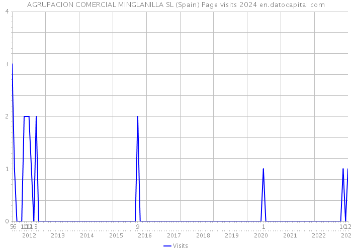 AGRUPACION COMERCIAL MINGLANILLA SL (Spain) Page visits 2024 
