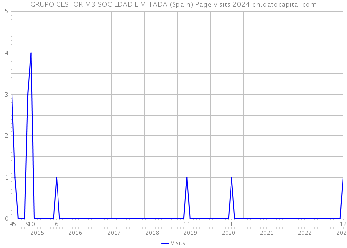 GRUPO GESTOR M3 SOCIEDAD LIMITADA (Spain) Page visits 2024 