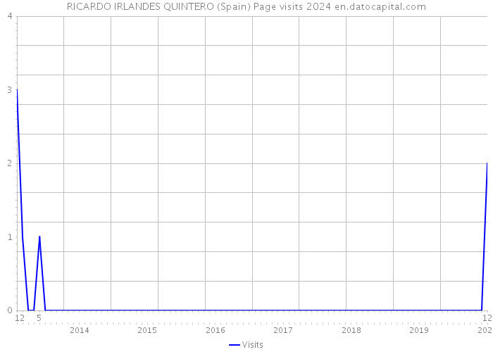 RICARDO IRLANDES QUINTERO (Spain) Page visits 2024 