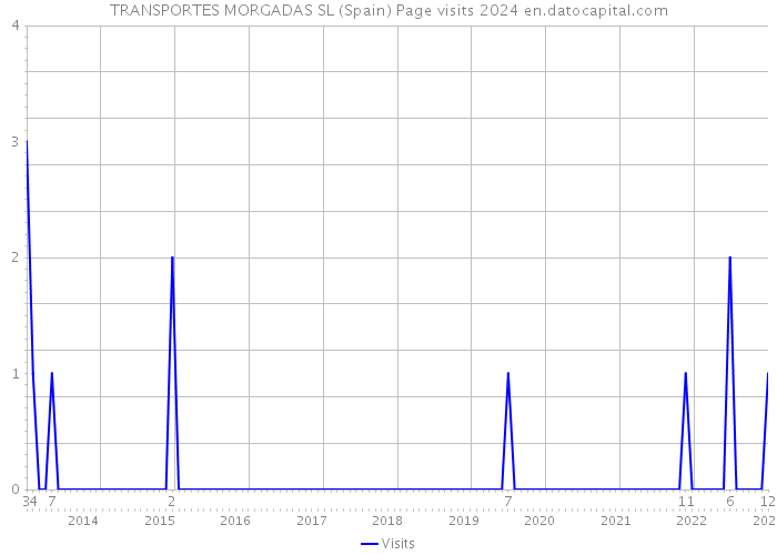 TRANSPORTES MORGADAS SL (Spain) Page visits 2024 