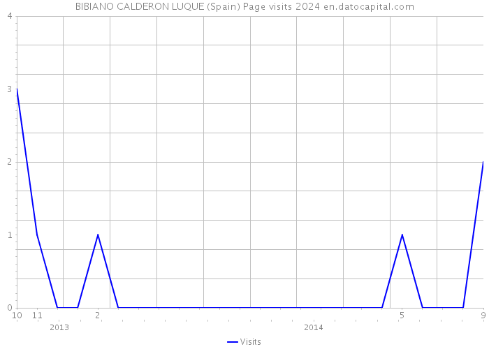 BIBIANO CALDERON LUQUE (Spain) Page visits 2024 