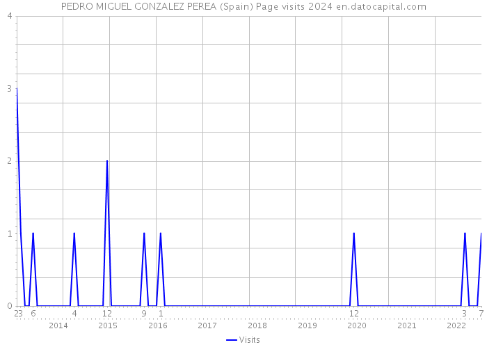 PEDRO MIGUEL GONZALEZ PEREA (Spain) Page visits 2024 