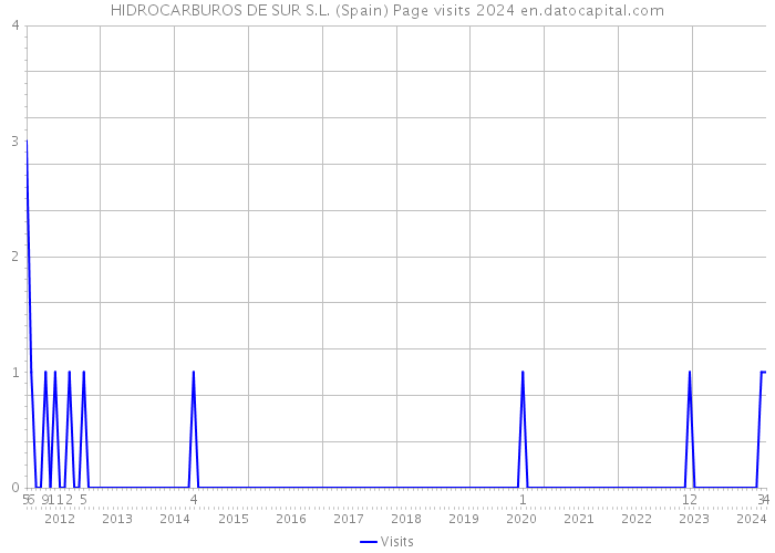 HIDROCARBUROS DE SUR S.L. (Spain) Page visits 2024 
