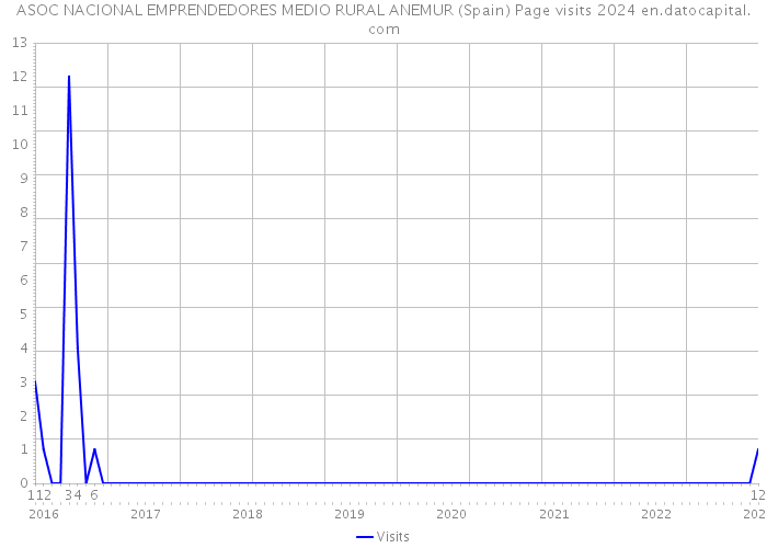 ASOC NACIONAL EMPRENDEDORES MEDIO RURAL ANEMUR (Spain) Page visits 2024 