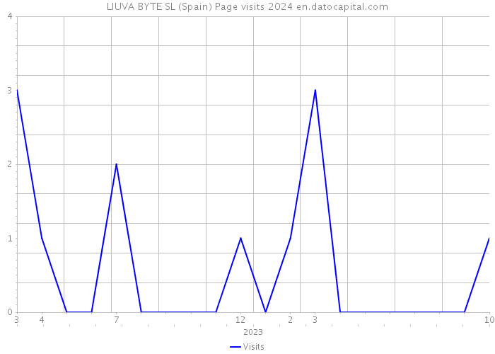 LIUVA BYTE SL (Spain) Page visits 2024 