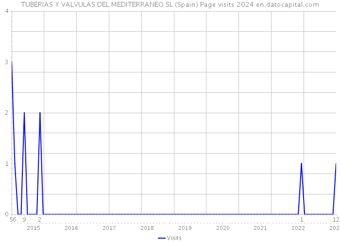 TUBERIAS Y VALVULAS DEL MEDITERRANEO SL (Spain) Page visits 2024 