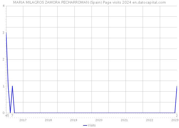 MARIA MILAGROS ZAMORA PECHARROMAN (Spain) Page visits 2024 