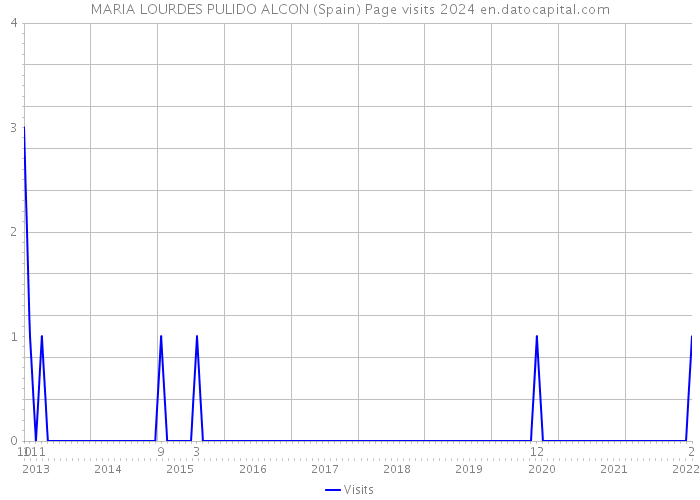 MARIA LOURDES PULIDO ALCON (Spain) Page visits 2024 