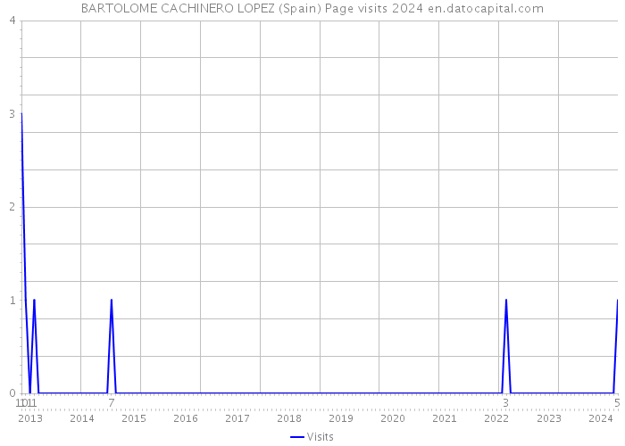 BARTOLOME CACHINERO LOPEZ (Spain) Page visits 2024 