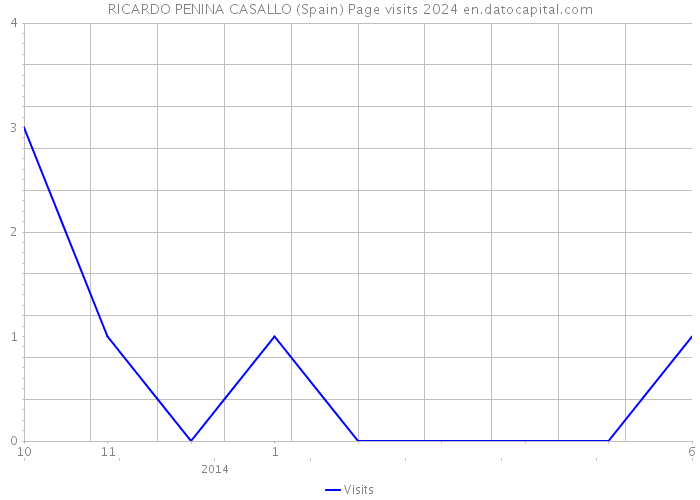 RICARDO PENINA CASALLO (Spain) Page visits 2024 