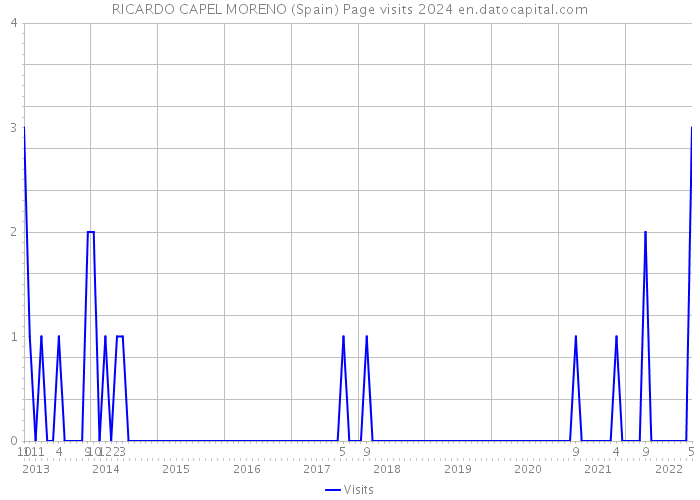 RICARDO CAPEL MORENO (Spain) Page visits 2024 