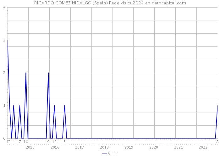RICARDO GOMEZ HIDALGO (Spain) Page visits 2024 