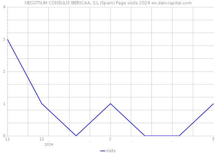 NEGOTIUM CONSULIS IBERICAA, S.L (Spain) Page visits 2024 