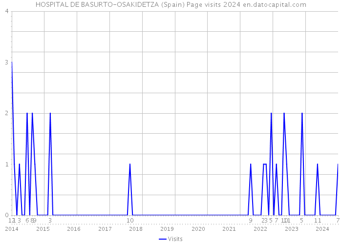 HOSPITAL DE BASURTO-OSAKIDETZA (Spain) Page visits 2024 