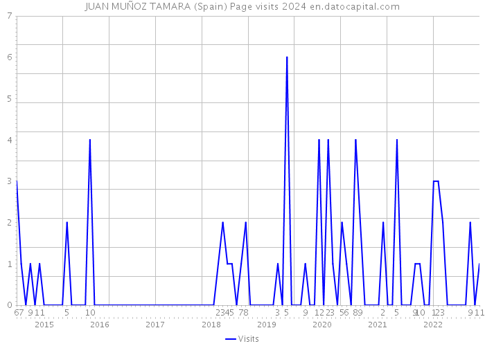 JUAN MUÑOZ TAMARA (Spain) Page visits 2024 
