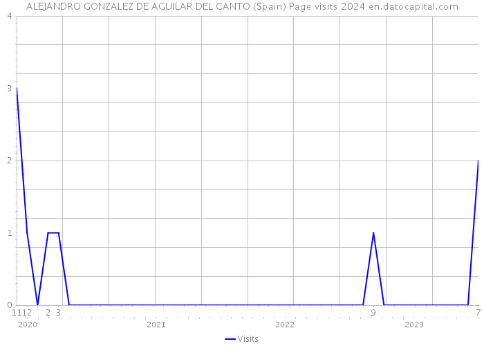 ALEJANDRO GONZALEZ DE AGUILAR DEL CANTO (Spain) Page visits 2024 