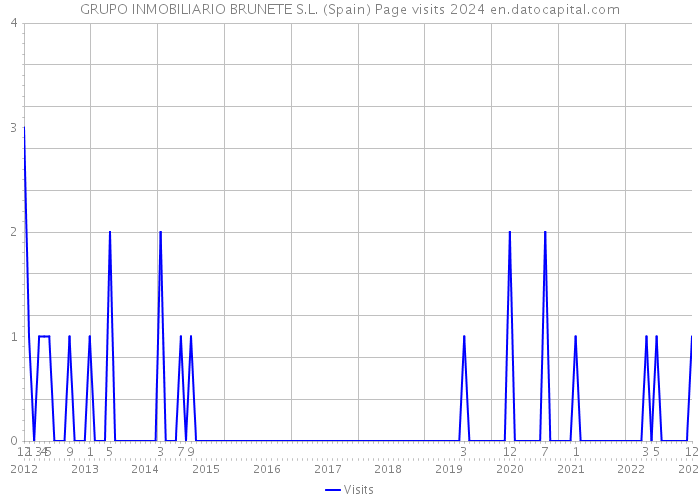 GRUPO INMOBILIARIO BRUNETE S.L. (Spain) Page visits 2024 