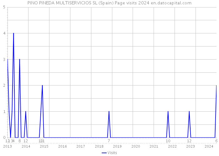 PINO PINEDA MULTISERVICIOS SL (Spain) Page visits 2024 