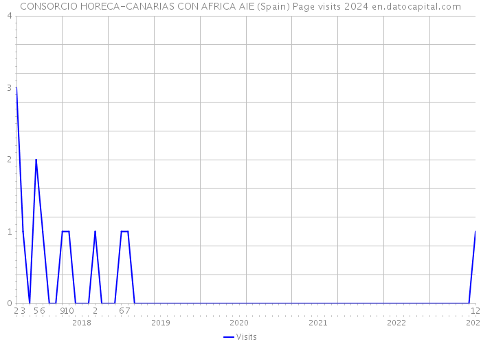 CONSORCIO HORECA-CANARIAS CON AFRICA AIE (Spain) Page visits 2024 