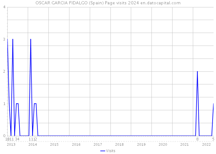 OSCAR GARCIA FIDALGO (Spain) Page visits 2024 