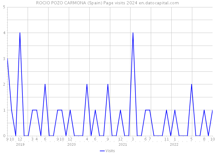 ROCIO POZO CARMONA (Spain) Page visits 2024 