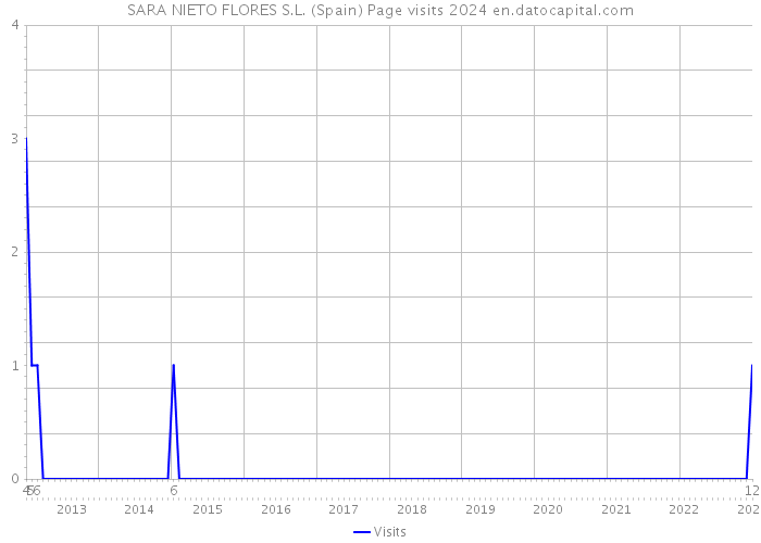 SARA NIETO FLORES S.L. (Spain) Page visits 2024 