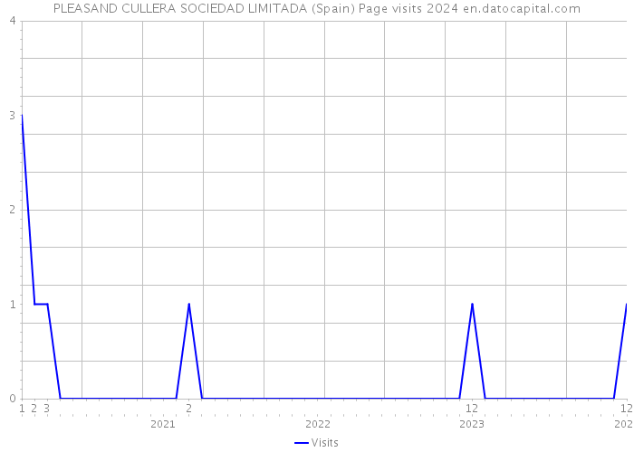 PLEASAND CULLERA SOCIEDAD LIMITADA (Spain) Page visits 2024 