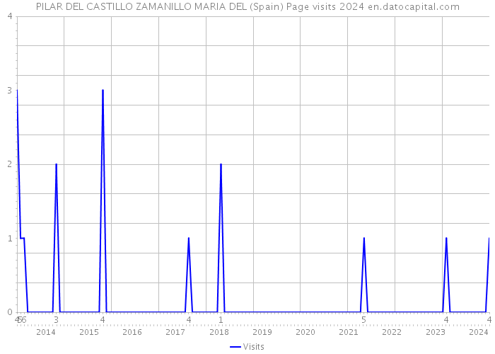 PILAR DEL CASTILLO ZAMANILLO MARIA DEL (Spain) Page visits 2024 